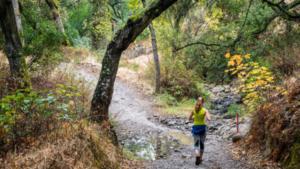 crowdpic_1a69c12a-d968-438e-92d5-7d6eac483065_