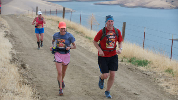 Brazen_Tarantula_AideStation1-086