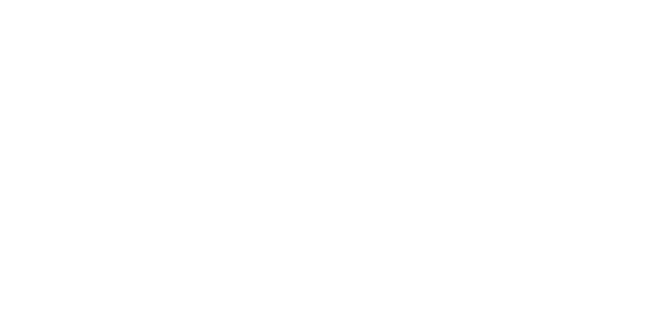 Brazen Racing | Half Marathon, 10K & 5K Trail Races Across SF Bay Area